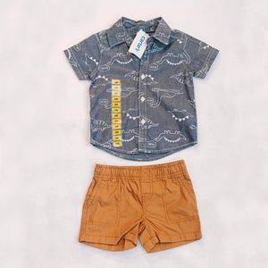 Carter's 6 month Chambray Shirt with Dinos and Khaki Shorts